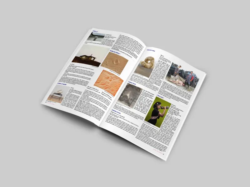 guide biennale 2026