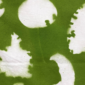 DECTOR_Michel_Hopital_des_feuilles_detail2