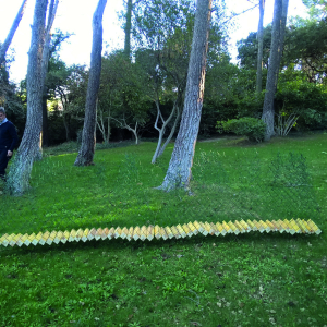 MONNIER_cloture_20180129_15