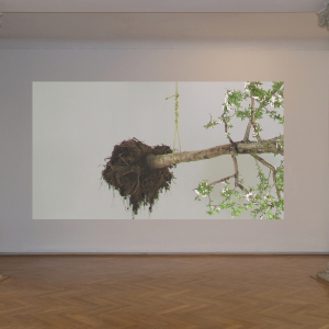 RUGGIRELLO_Jardins_egare