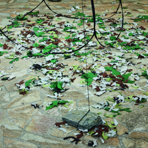 CROZE_Le_Maquis®Jeanchristophe_Lett_0026